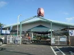 コメリハード＆グリーン神栖店